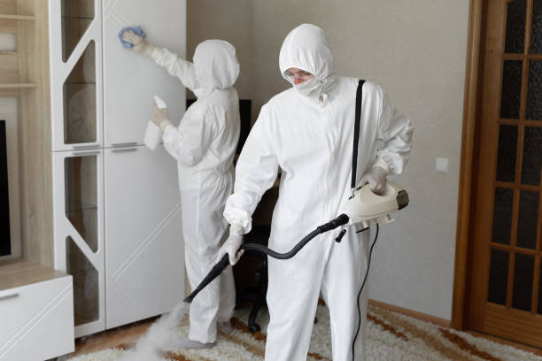 Best Commercial Mold Removal  in Linden, TX