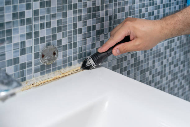 Home Mold Removal in Linden, TX