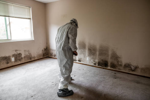 Best Crawl Space Mold Removal  in Linden, TX