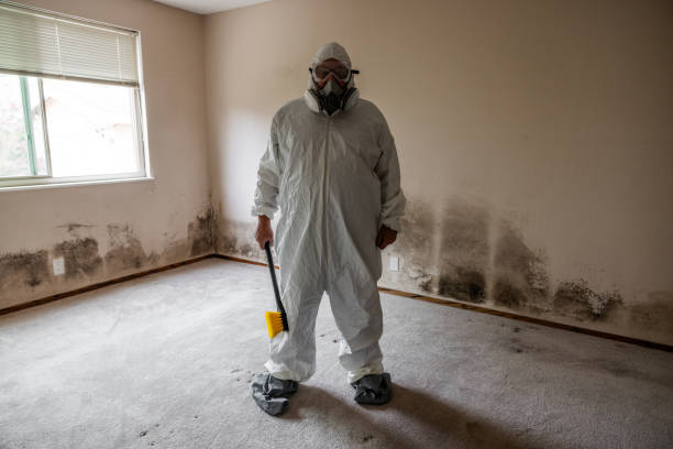 Best Mold Testing  in Linden, TX