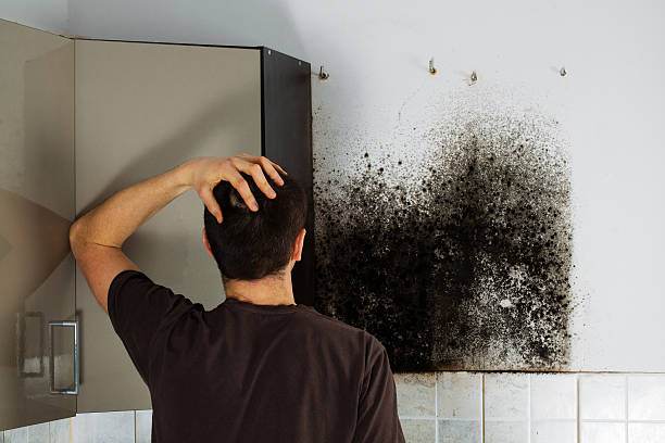 Linden, TX Mold Removal Company